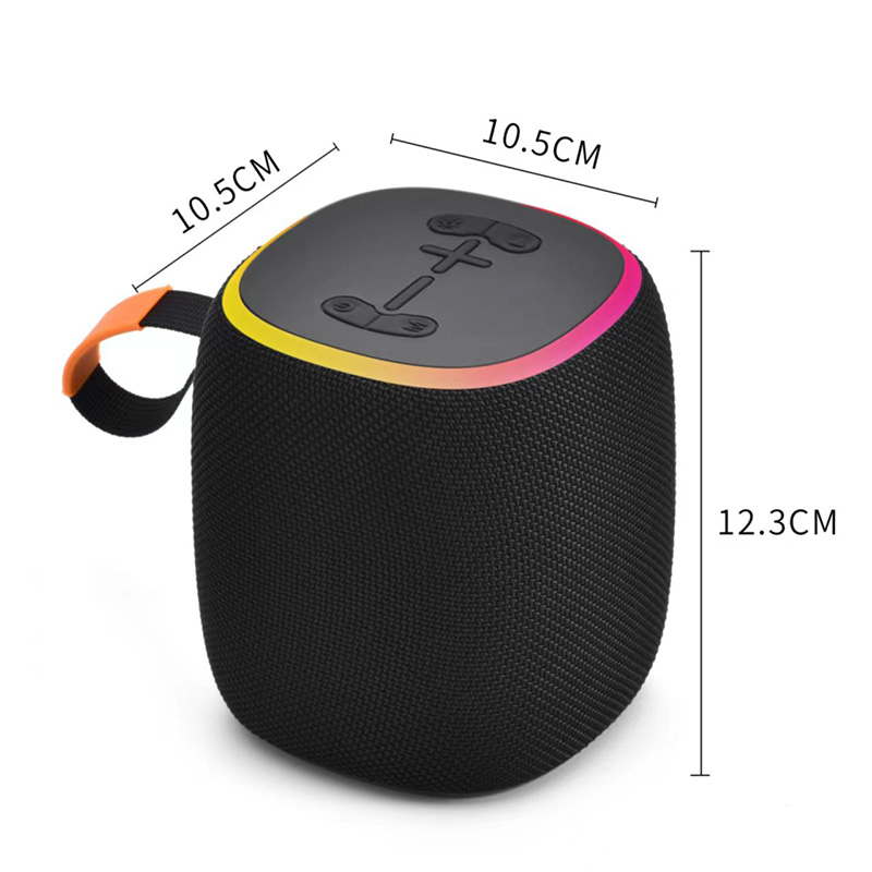 FLS-298 Speaker-07.jpg